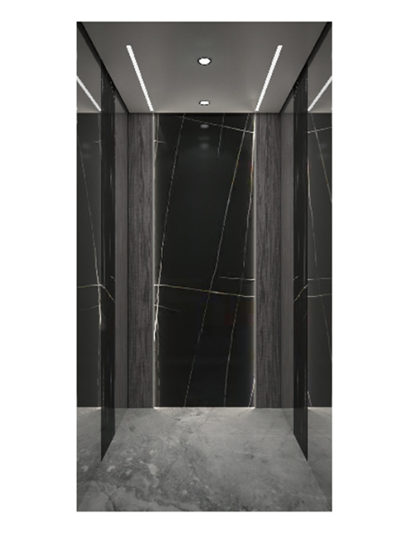 Luxury Home Aufzugskabinendeooration SX-JX013 (Optional)